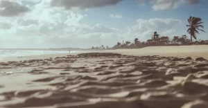 nordeste com crianças